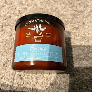 Bath & Body Works Aromatherapy Focus Candle - Brown and Blue